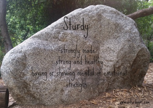 Sturdy rock